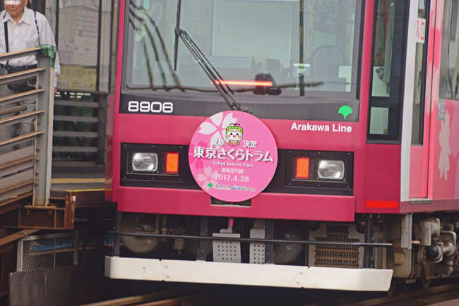 DSC_9019-2.jpg