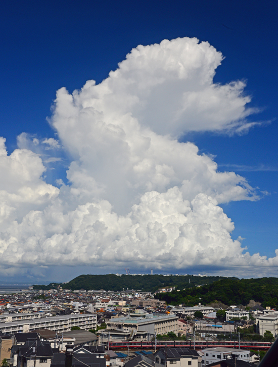 DSC_9045-2.jpg