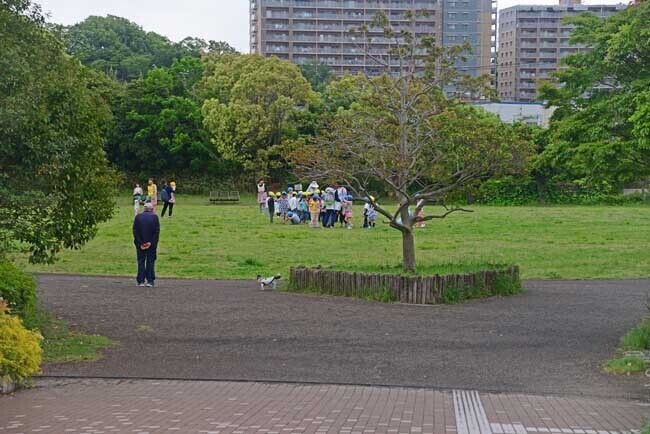 DSC_9075-2.jpg