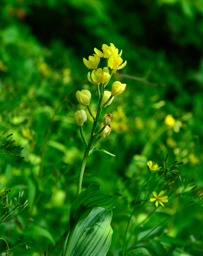 DSC_9088-2.jpg