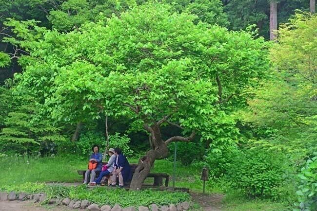 DSC_9106-2.jpg
