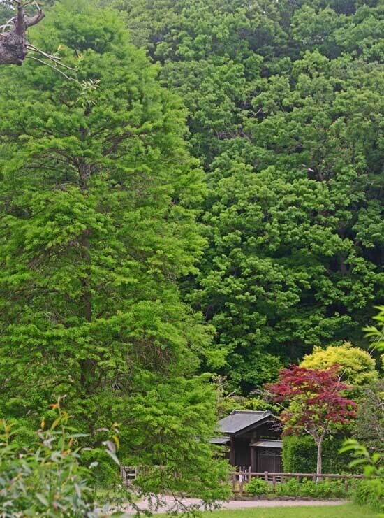 DSC_9117-2.jpg