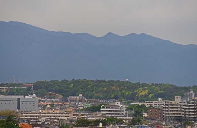 DSC_9130-2.jpg