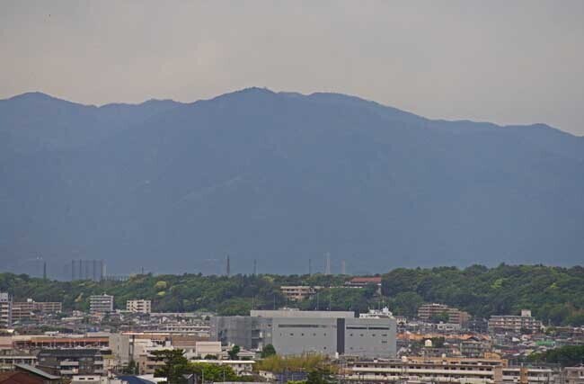 DSC_9131-2.jpg