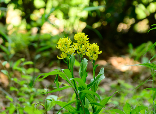 DSC_9134-2.jpg