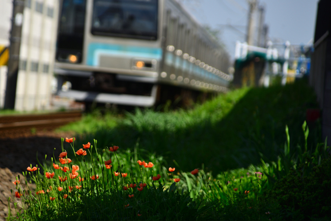 DSC_9200-2.jpg