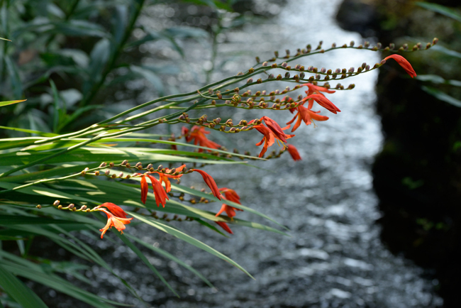 DSC_9267-2.jpg