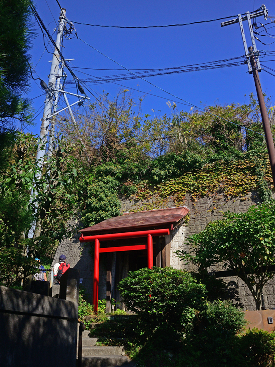 DSC_9384-2.jpg