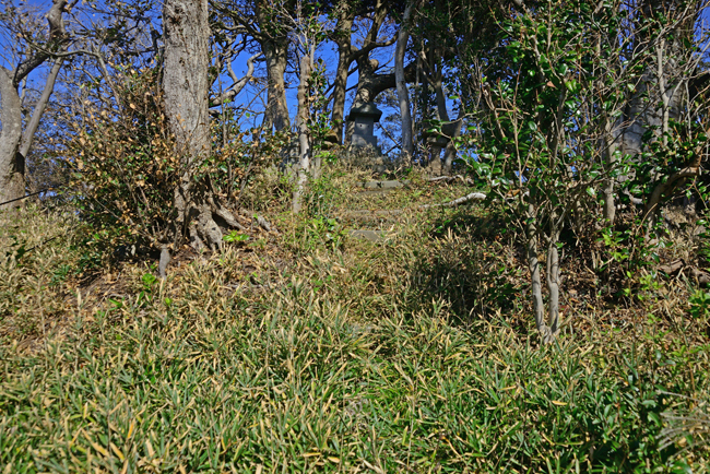 DSC_9389-2.jpg