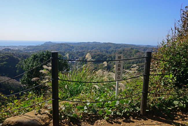 DSC_9393-2.jpg