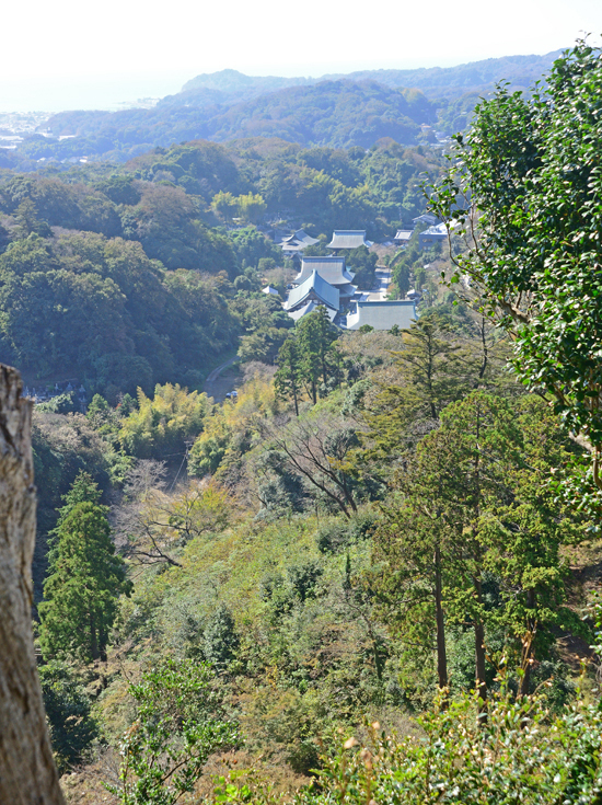 DSC_9396-2.jpg