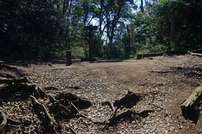 DSC_9398-2.jpg
