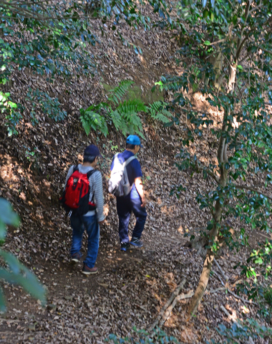 DSC_9404-2.jpg