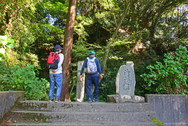DSC_9417-2.jpg