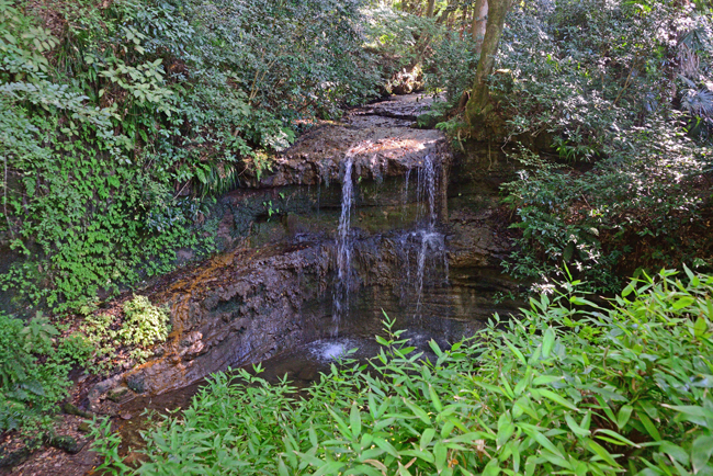 DSC_9419-2.jpg