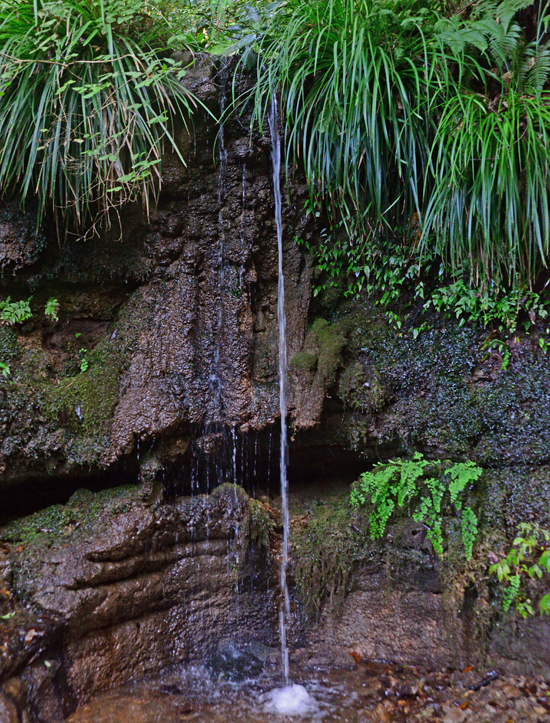 DSC_9423-2.jpg