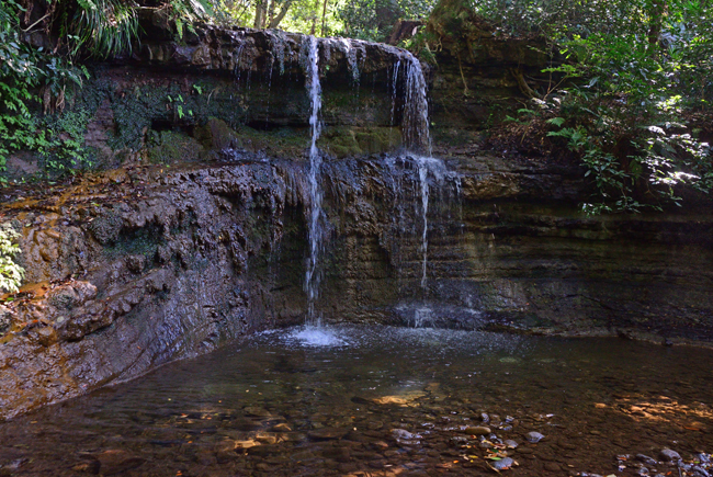 DSC_9425-2.jpg