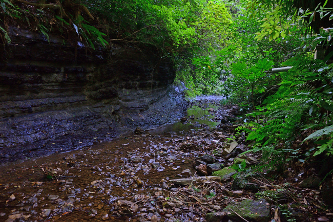 DSC_9431-2.jpg