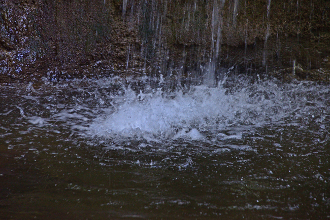DSC_9434-2.jpg