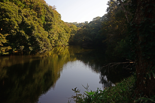 DSC_9454-2.jpg