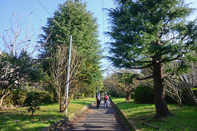 DSC_9457-2.jpg