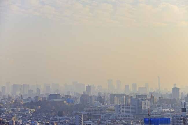 DSC_9567-2.jpg