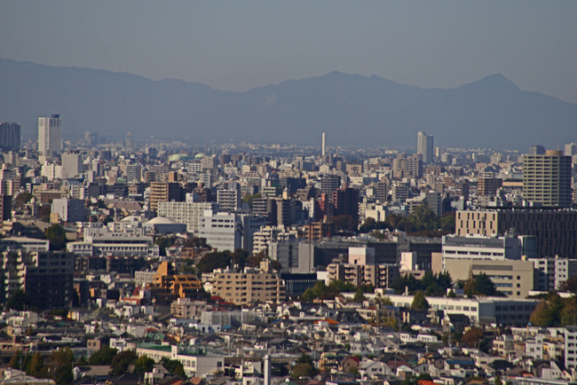 DSC_9672-2.jpg
