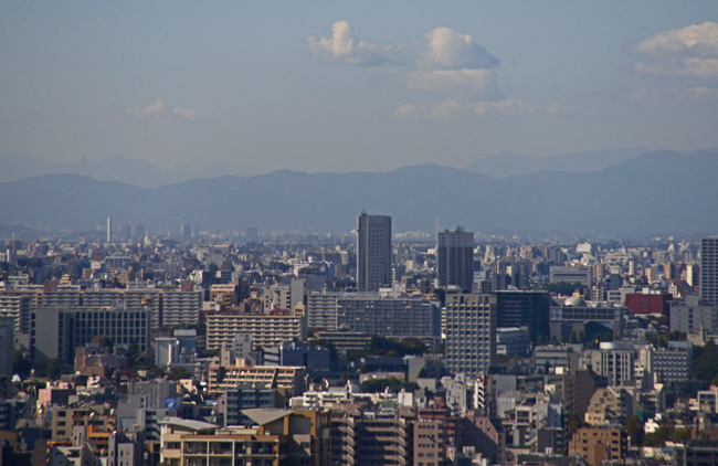 DSC_9674-2.jpg
