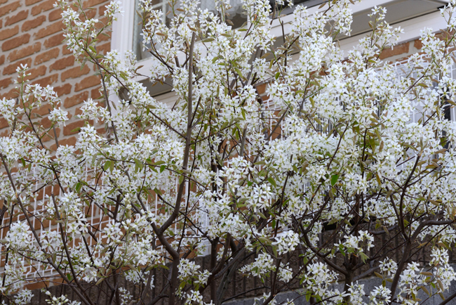 DSC_9674-2.jpg