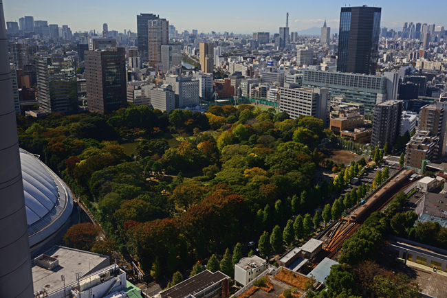 DSC_9679-2.jpg