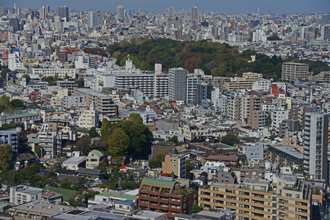 DSC_9688-2.jpg