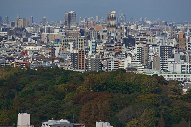 DSC_9692-2.jpg