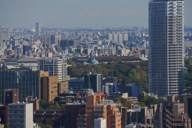 DSC_9694-2.jpg