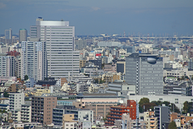 DSC_9695-2.jpg