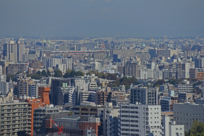 DSC_9696-2.jpg