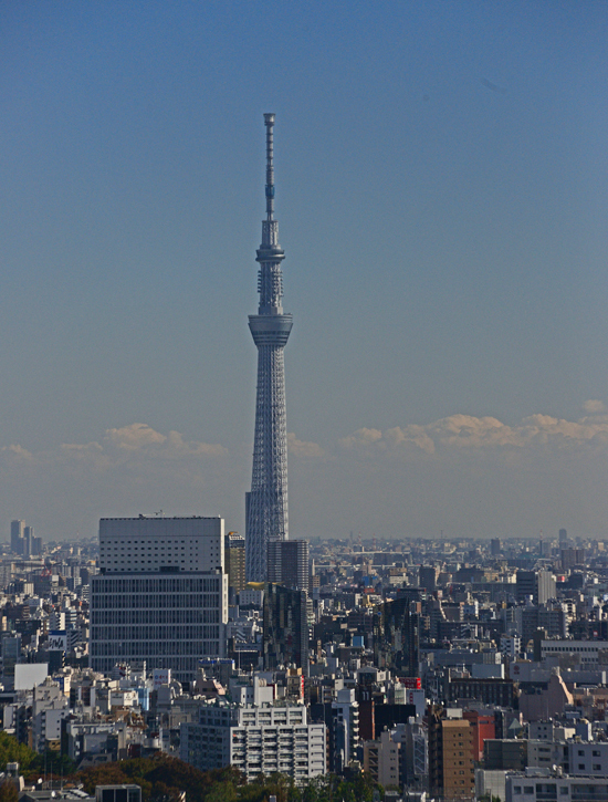 DSC_9719-2.jpg