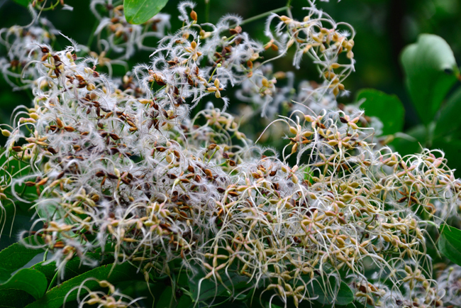 DSC_9745-2.jpg