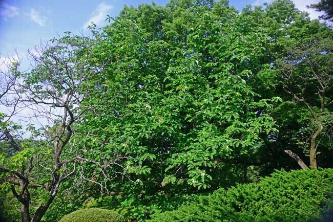 DSC_9773-2.jpg