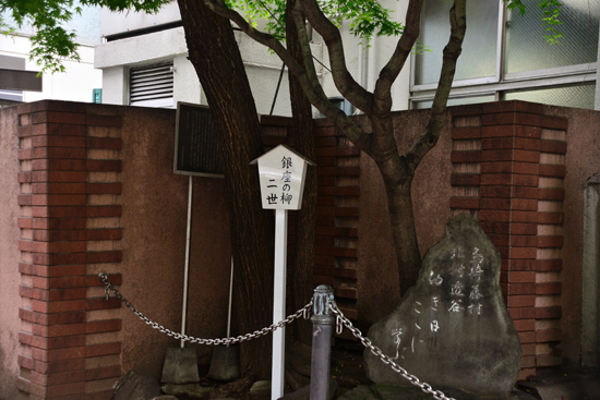 DSC_9830-2.jpg