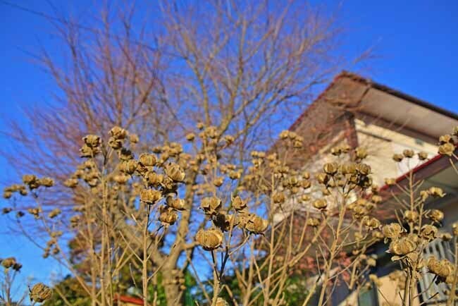 DSC_9867-2.jpg