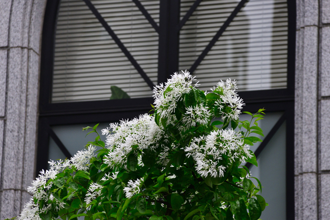 DSC_9891-2.jpg