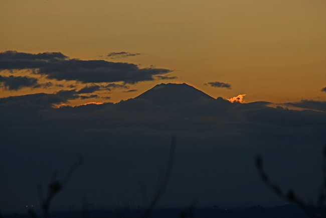 DSC_9956-2.jpg