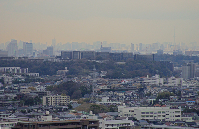 DSC_9977-2.jpg