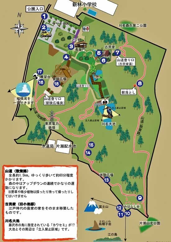 新林公園-23.jpg
