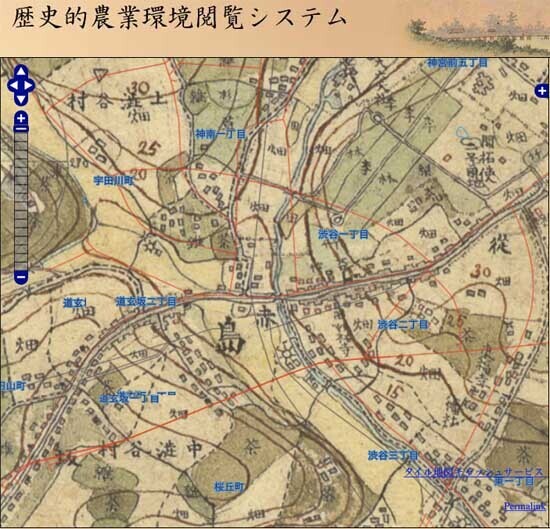 渋谷-13.jpg